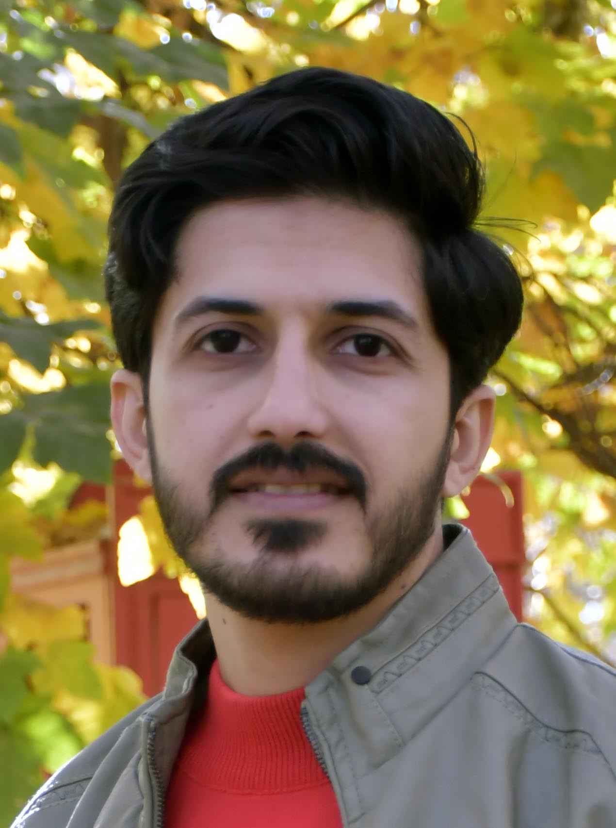 مهدی صدیقی