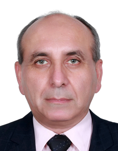امیر هوشنگ دانایی