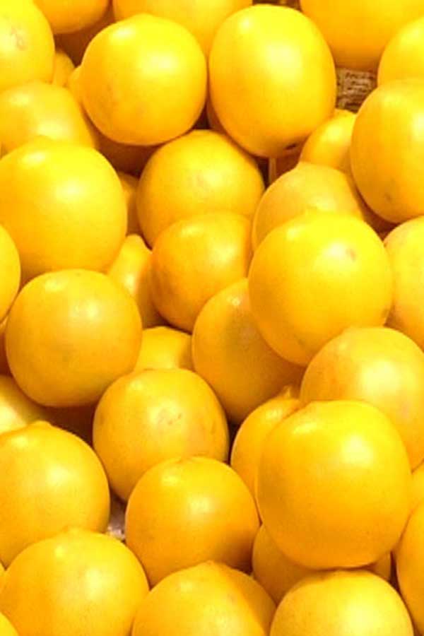 بازار طبیعت