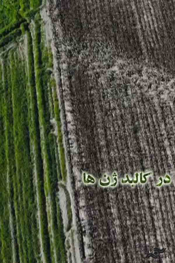 در کالبد ژن ها 