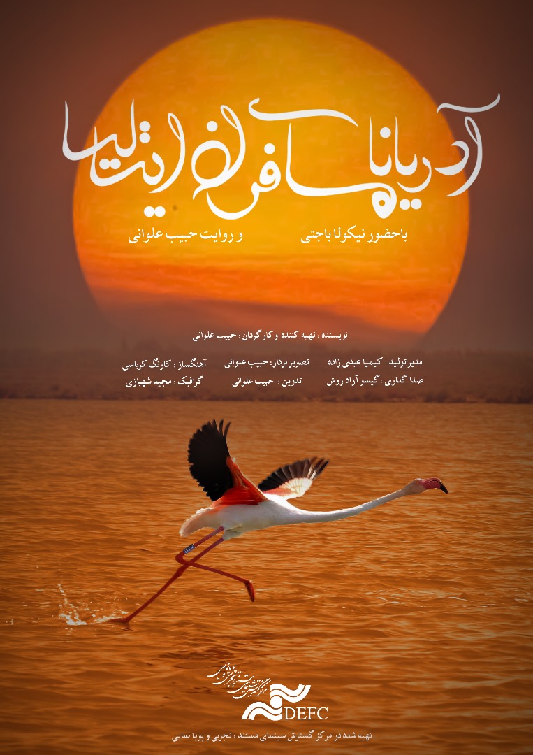 Adriana, a Traveler from Italy