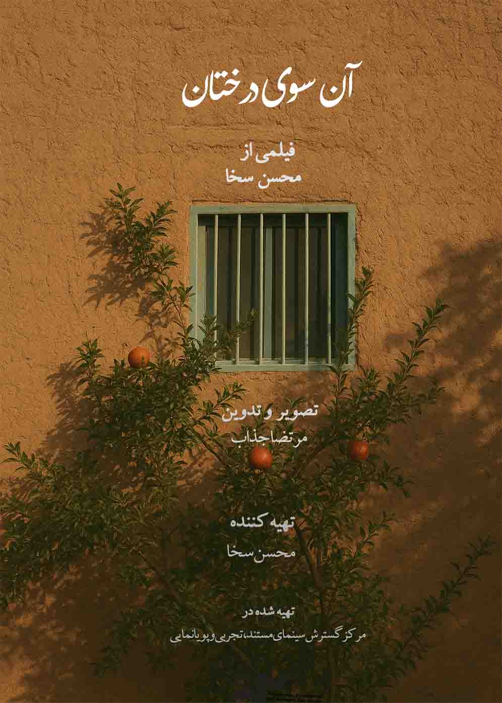 آن سوی درختان
