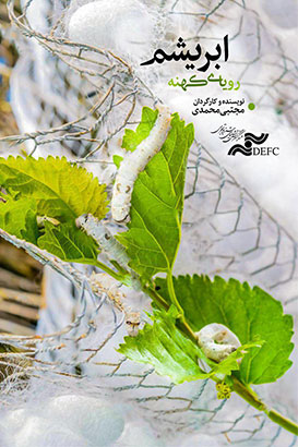 ابریشم رویای کهنه